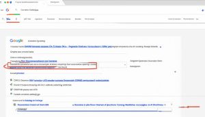 How To Self Configure Your DNS Settings In Google Domains